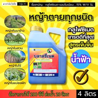 บลาสซีเนต (กลูโฟซิเนต สูตรเข้มข้น) หญ้าตายทุกชนิด คันนา สวน ไร่ แปลงผัก : แกลลอน 4 ลิตร