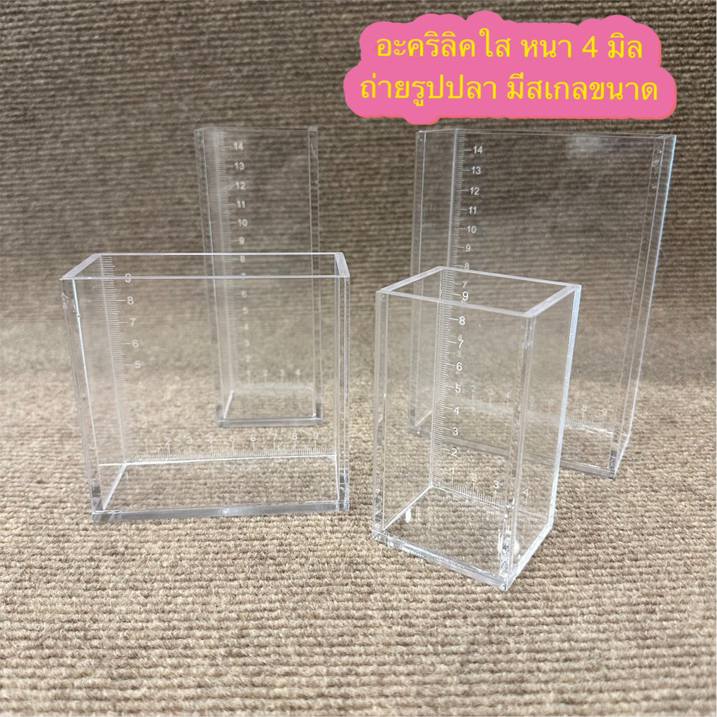 โหลถ่ายรูปปลา โหลแยกปลา โหลถ่ายปลาบอลลูน โหลอะคริลิคใส สำหรับเคลื่อนย้ายปลา งานอะคริลิคหนา 4 มิล ใส