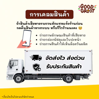 Mall นมเชียงใหม่เฟรชมิลค์ รสจืด UHT 180 ml. (36 กล่อง/ลัง) แคลเซียมสูง นมคุณภาพสูงล้านนา นมโคแท้100%
