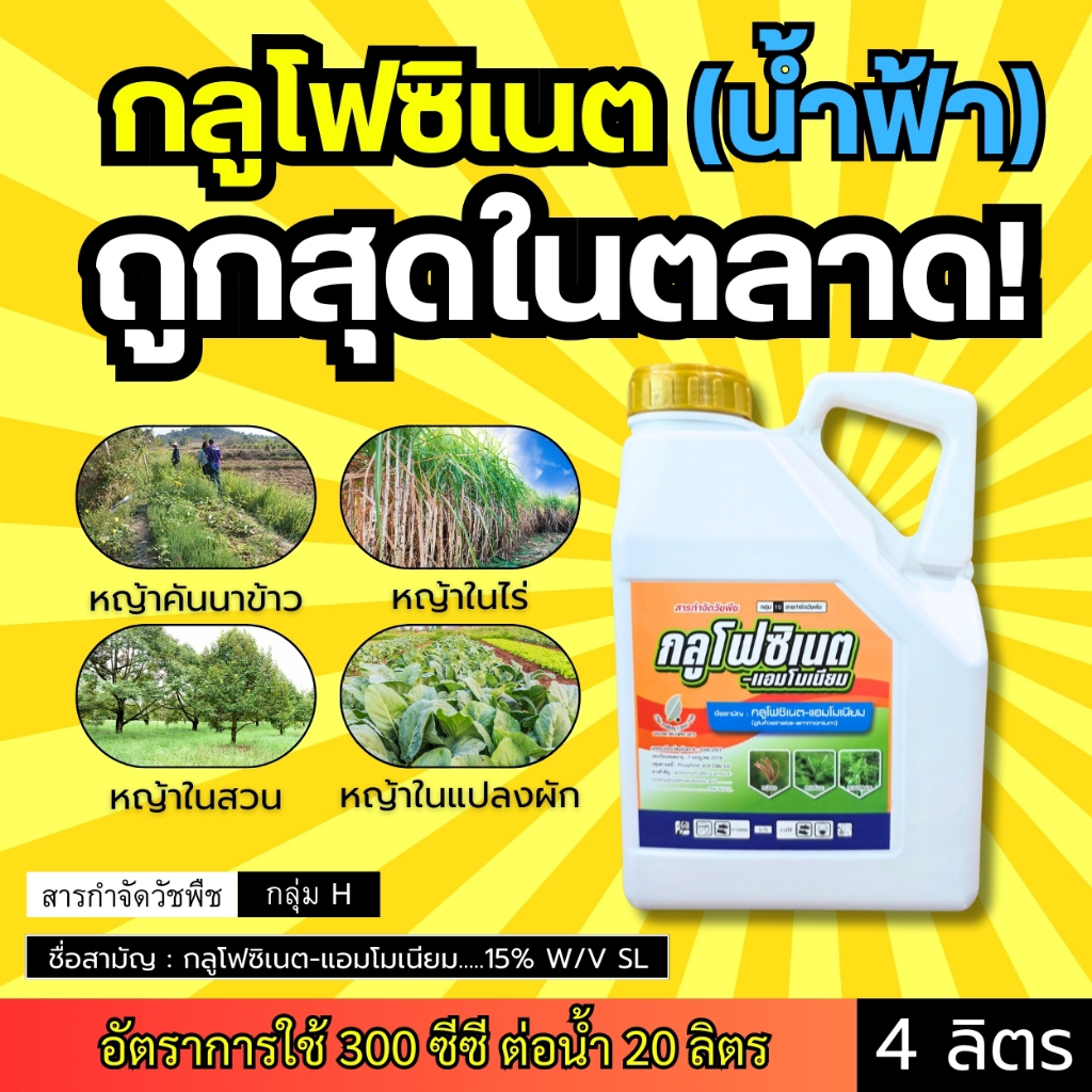 กลูโฟซิเนต สูตรเข้มข้น (น้ำฟ้า) หญ้าตายทุกชนิด คันนา สวน ไร่ แปลงผัก : แกลลอน 4 ลิตร
