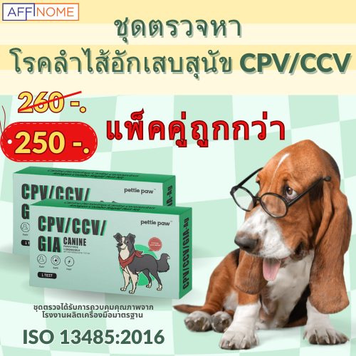 pettie paw CCV/CPV ชุดตรวจคัดกรองแบบรวดเร็วสำหรับตรวจหาโรคลำไส้อักเสบในสุนัข 2 Tests
