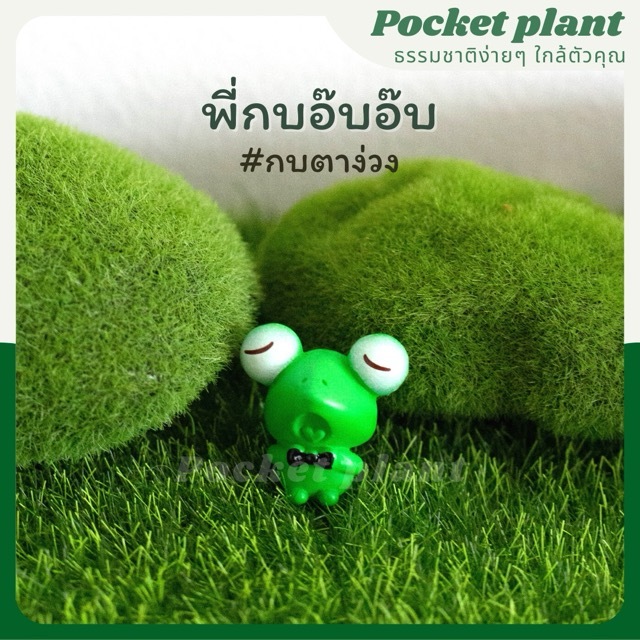 มุมมอง 7