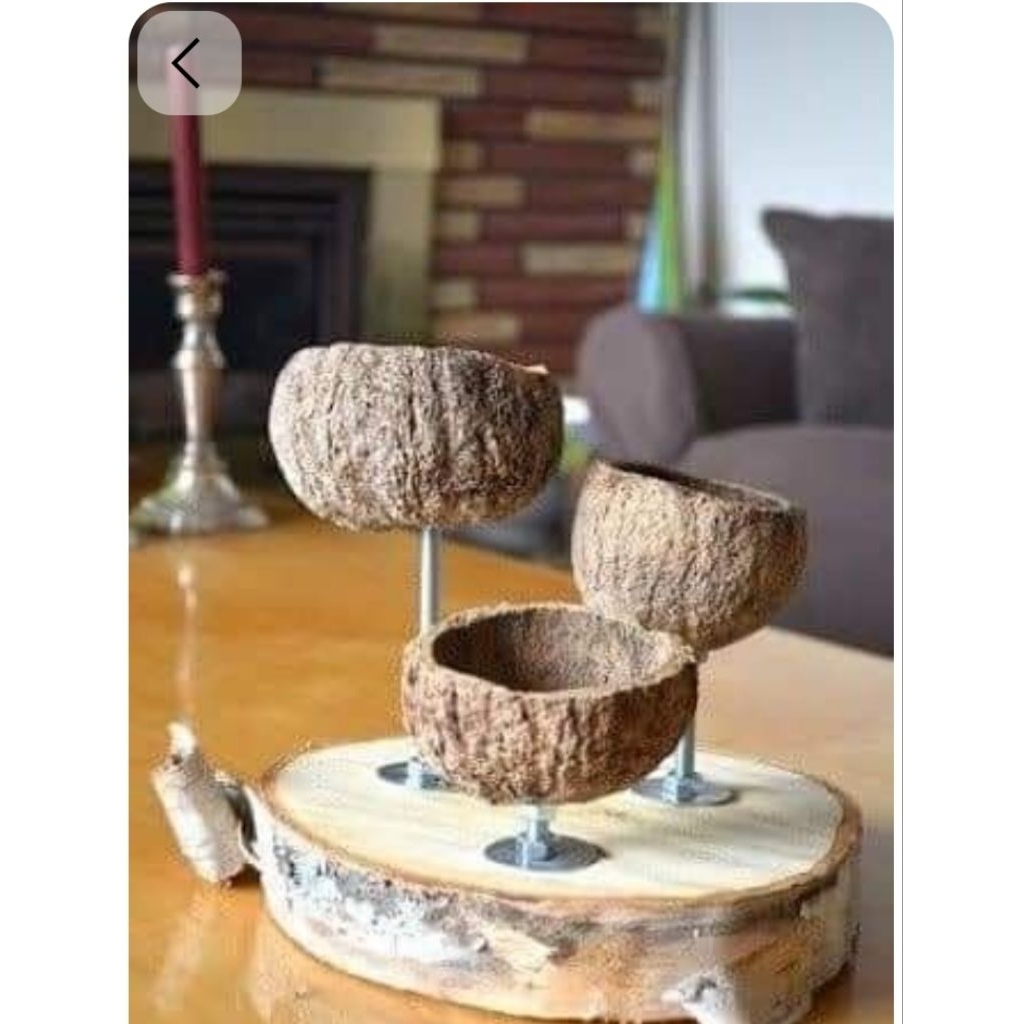 Coconut shell pot setขนาด30/50,cm