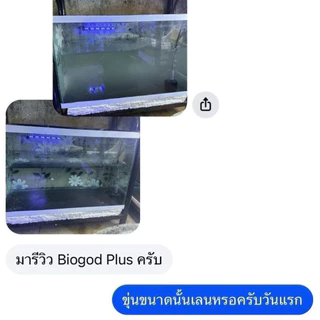 BiogodPlus จุลินทรีย์เซ็ทระบบกรองสำหรับปลาสวยงามทุกชนิดช่วยให้น้ำใสคุณภาพดี ย่อยสลายขี้ปลา ลดกลิ่นคาว ปลอดภัยไร้สารเคมี