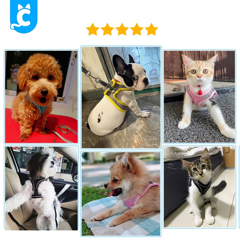 [ส่งฟรี🇹🇭] CleverPet สายรัดอกแมวและสุนัข ฟรีสายจูง เสื้อรัดอกแมว ระบายความร้อน Dog Cat Harness รูปที่ 5