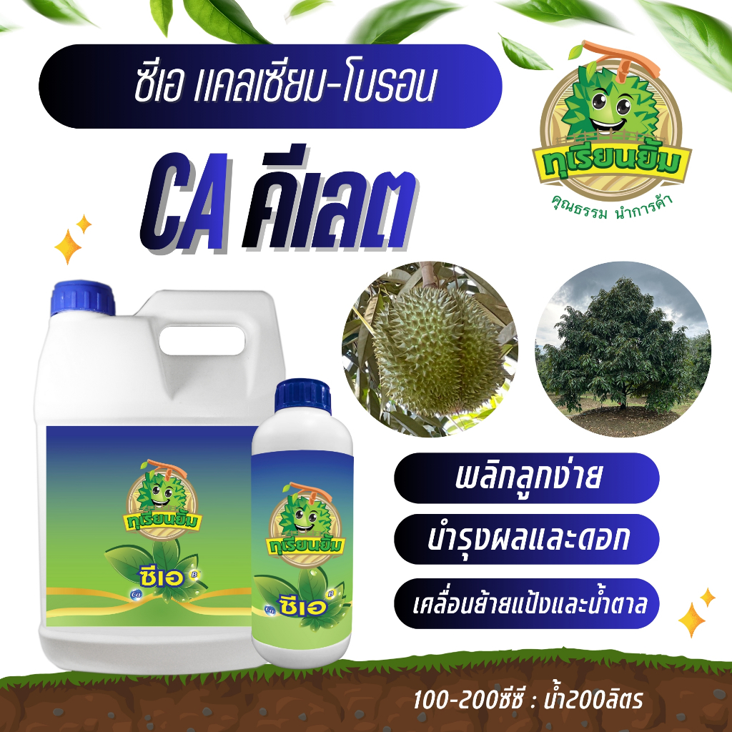 ซีเอ ( คีเลต ) เเคลเซียมคีเลต โบรอน