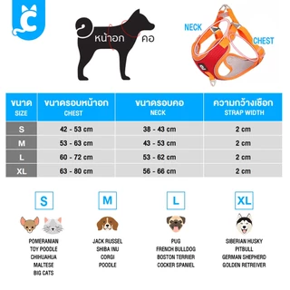 [ส่งฟรี🇹🇭] Duomm สายรัดสุนัข ระบายความร้อน สำหรับหมาและแมว Dog Harness CleverPet