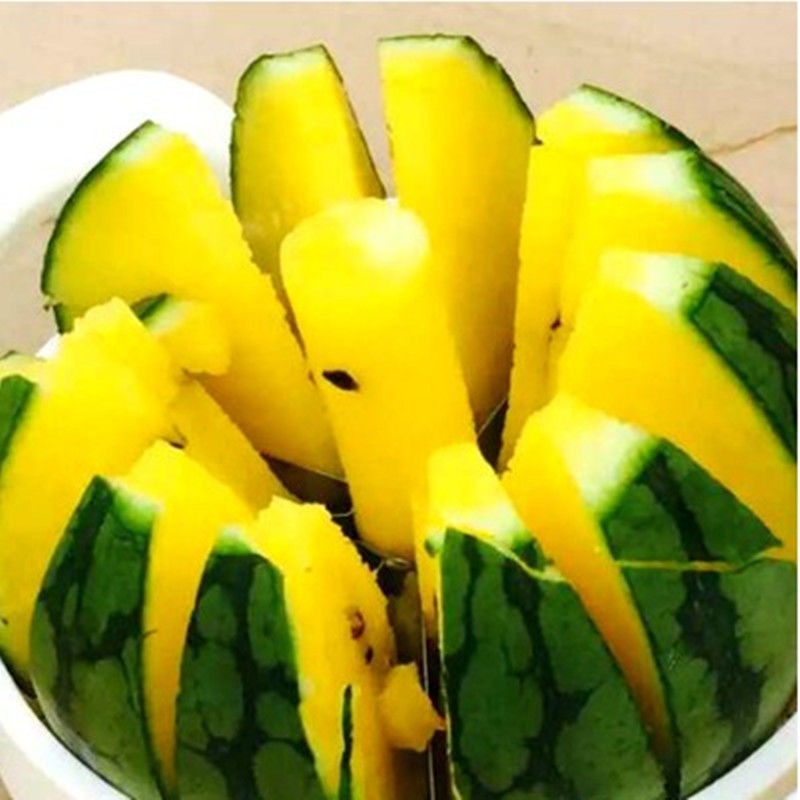 เมล็ดพันธุ์แตงโม เมล็ดแตงโม เนื้อสีเหลือง หวานสุดๆ บรรจุ 20เมล็ด Yellow Watermelon Seeds เมล็ดพันธุ์ผลไม้ เมล็ดพันธุ์ OP - รูปที่ 3