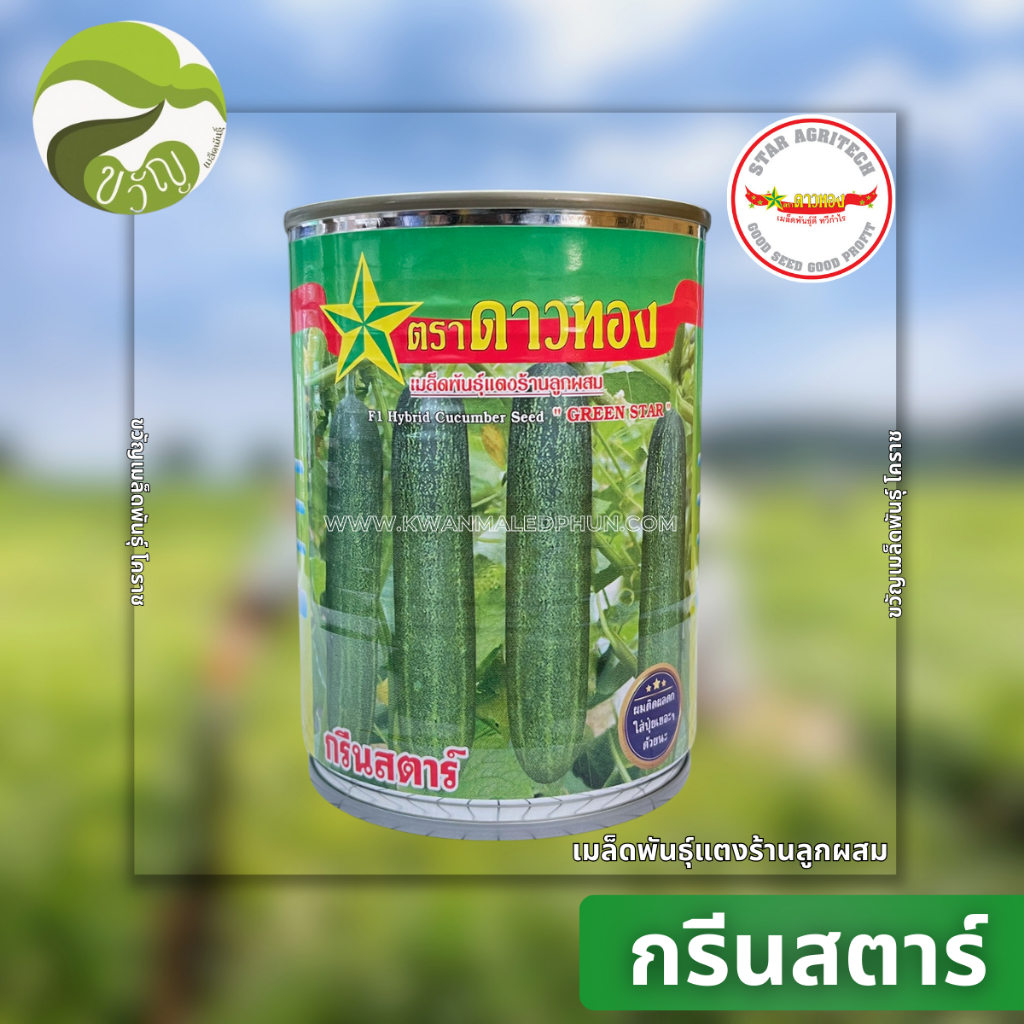 เมล็ดพันธุ์ แตงร้าน ลูกผสม กรีนสตาร์  ลอตใหม่ ล่าสุด