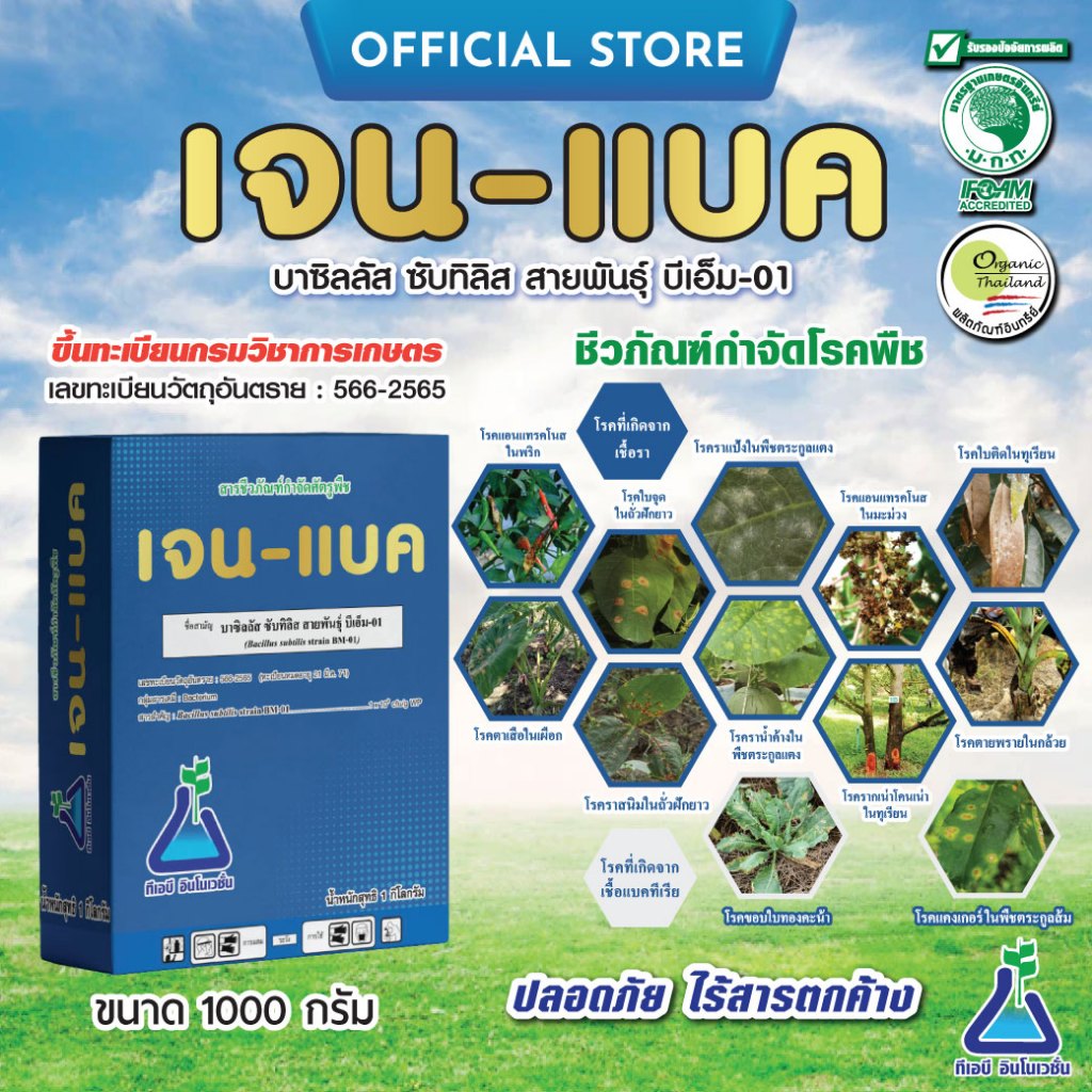 เจน-แบค บาซิลลัส ซับทิลิส สายพันธุ์  BM-01 จาก ทีเอบี  เชื้อบีเอส Bacillus subtilis ราน้ำค้าง ราแป้ง ใบจุด แอนแทรคโนส