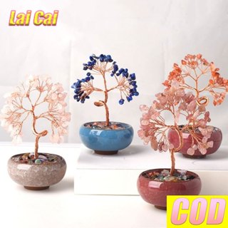 🔥มินิการ์ไม้หินนำโชค เสริมฮวงจุ้ย ตกแต่งภายในบ้าน สวน ของขวั…