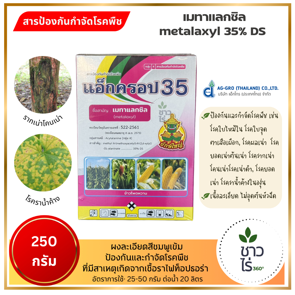 แอ็กครอป 35 250 กรัม ตรายักษ์ใหญ่ เมทาแลกซิล metalaxyl 35% DS  กําจัดโรคพืชที่เกิดจากเชื้อรา ผงสีชมพู เนื้อละเอียด ละลาย