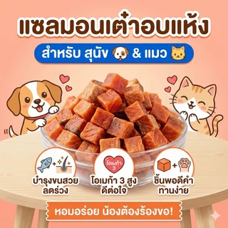 แซลมอนเต๋า อบแห้ง ขนมแมว ขนมสุนัข ขนมหมา กลิ่นหอม ไม่เค็ม ฝึกง่าย แก้เบื่ออาหาร กินแล้วหมาไม่ดื้อ ปลาอบแห้ง