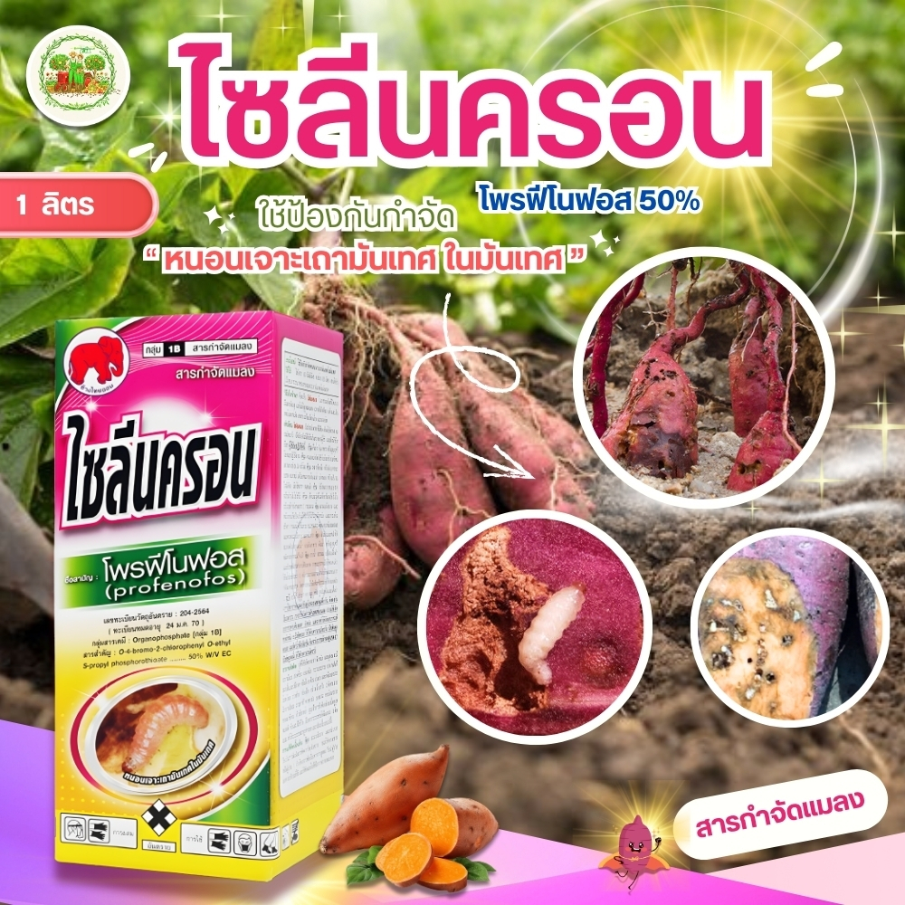 ไซลีนครอน โพรฟีโนฟอส (สูตรเย็น) แมลง กำจัดหนอน หนอนใยผัก หนอนเจาะ หนอนกระทู้ เพลี้ยไฟ เพลี้ยกระโดด ด้วงหมัดผัก #ไทออน