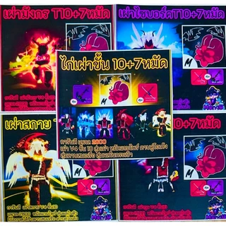 ไก่ตันเผ่าV4เทียร์10 7หมัด Bloxfruits แบบเลือกได้