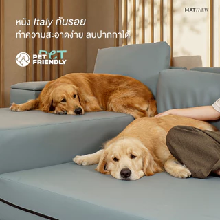 (Pre-Order) Future Living Sofa bed รุ่น Matthew โซฟาเบด โซฟาปรับเอนได้ หนัง/ผ้า นั่งสบาย