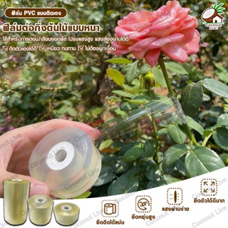 เทปยืดพันกิ่ง ฟิล์มพันของ 3/5/10ซม.ยืดได้อีกเท่าตัว เหนียว ไ…