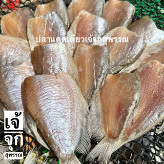 ปลากระดี่ แดดเดียว แพค 500 กรัม ตากใหม่ทุกวันจ้า