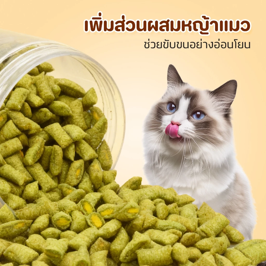 TUBIสุดคุ้ม100gแพ็กใหญ่!ขนมแมว 3 รสสุดโปรด บำรุงขน ย่อยง่าย แมวติดใจ เนื้อแน่นแท้ แมวเลือกรัก วิตามินเพียบ ผิวขนสวย thumbnail 7
