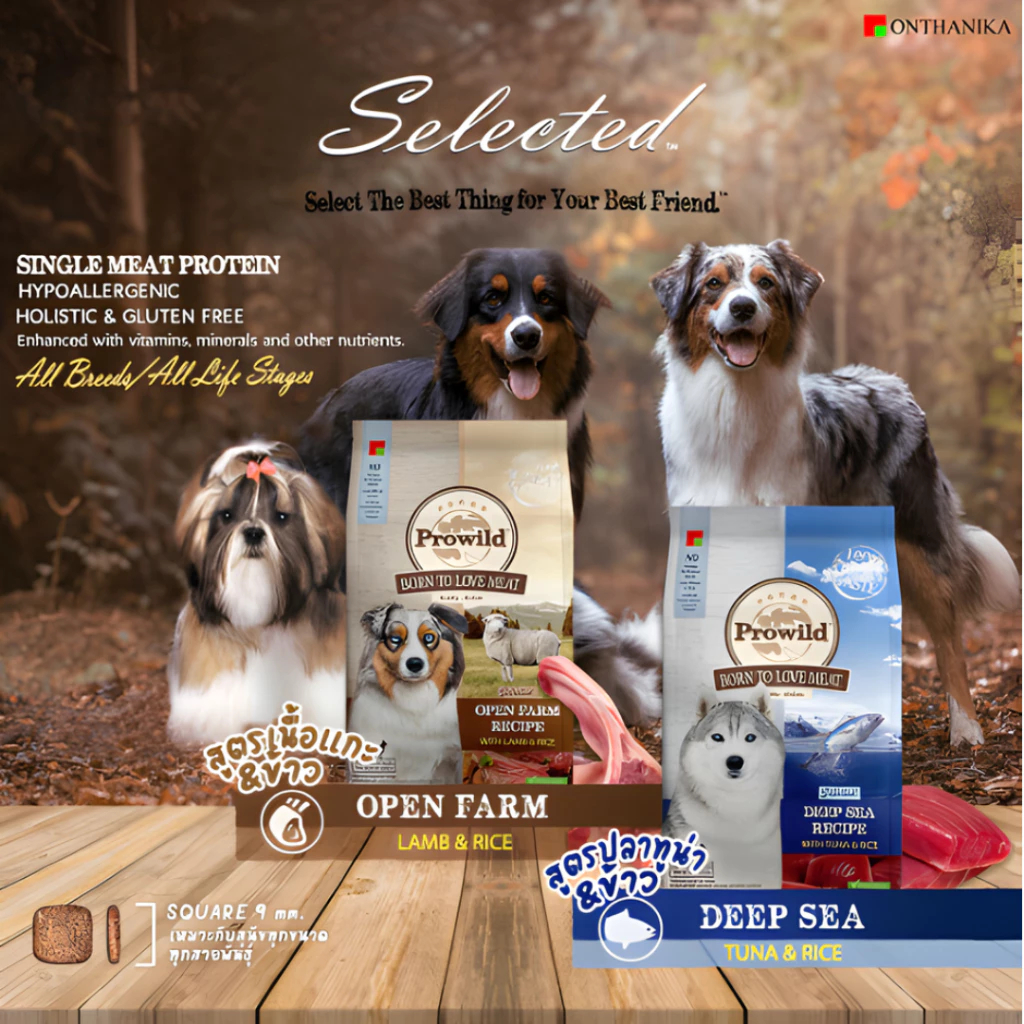 Prowild โปรไวลด์ อาหารสุนัข ขนาด 15 kg อาหารเกรด Holistic เหมาะสำหรับทุกสายพันธ์และทุกช่วงวัย รูปที่ 2