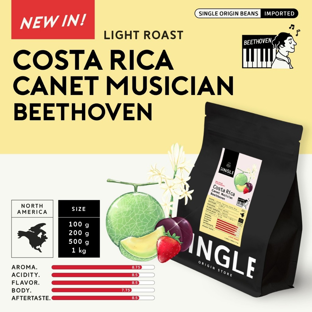 เมล็ดกาแฟคั่วอ่อน Costa Rica Musician Beethoven Raisin Honey
