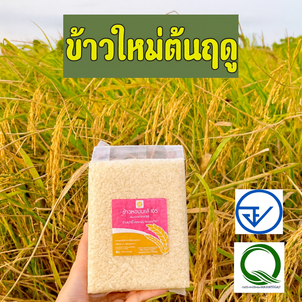 รุ้งทอง ข้าวใหม่ต้นฤดู ข้าวหอมมะลิ แท้100% พันธุ์ดอกมะลิ 105  ข้าวปลอดสาร ข้าวนาปี   ขนาด 1 กิโลกรัม