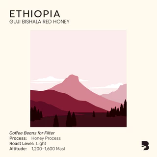 เมล็ดกาแฟ คั่วอ่อน - Ethiopia Guji Bishala Red Honey