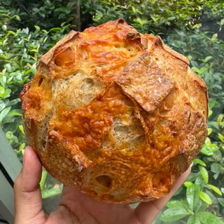 Cheese Sourdough ขนมปังซาวโดว์ผสมชีส
