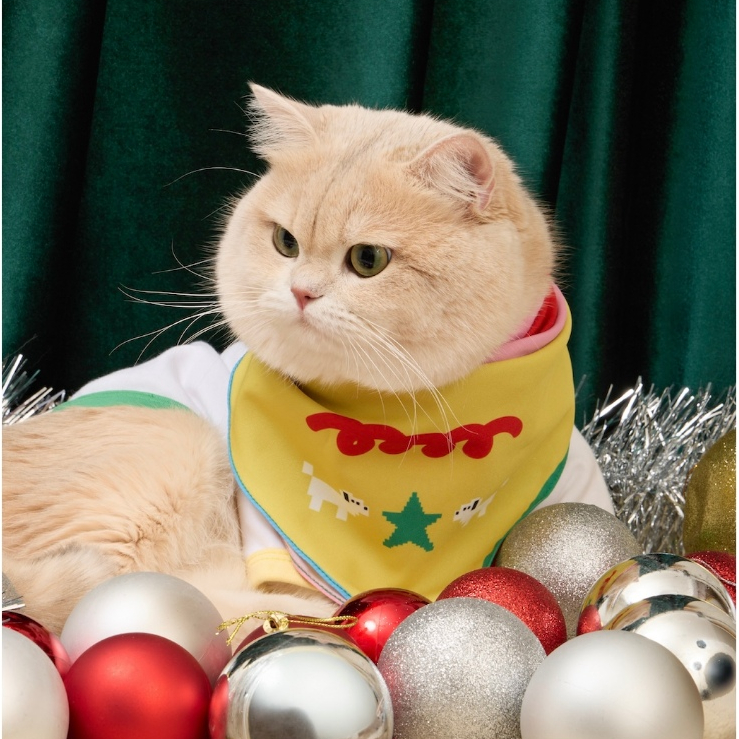 [พร้อมส่ง] Doggu I love my Bandana ผ้าพันคอสัตว์เลี้ยง : Christmas 2025 Collection