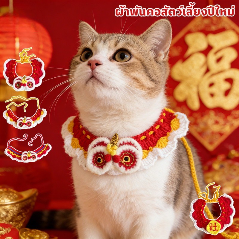 รูปภาพ 3