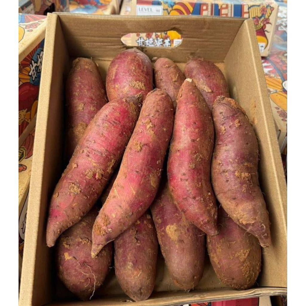 รูปภาพ 3