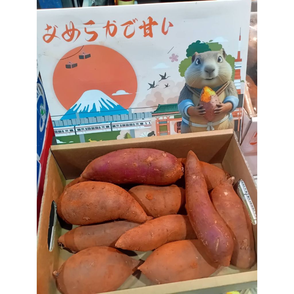 รูปภาพ 5