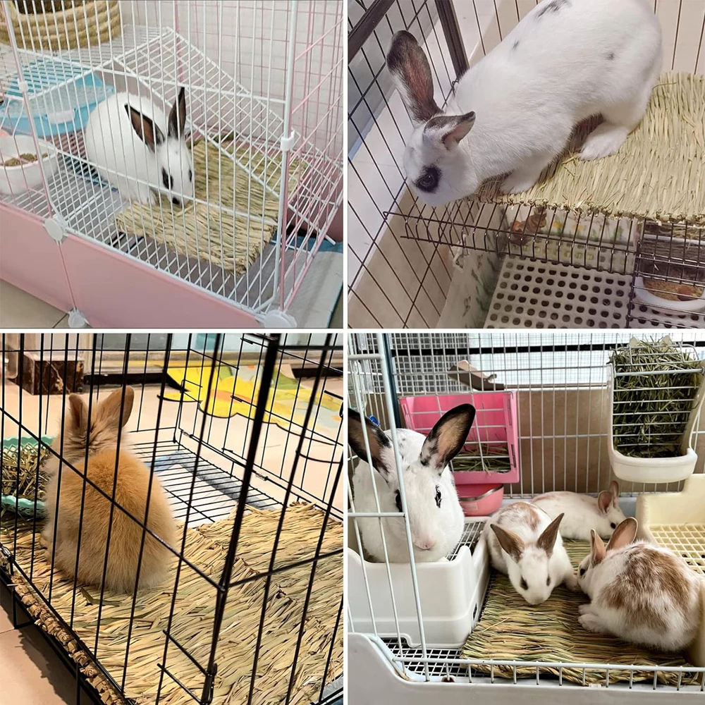 PETLUSCI ที่นอนหญ้าแห้ง เสื่อหญ้า สำหรับกระต่าย หนูตะเภา thumbnail 9
