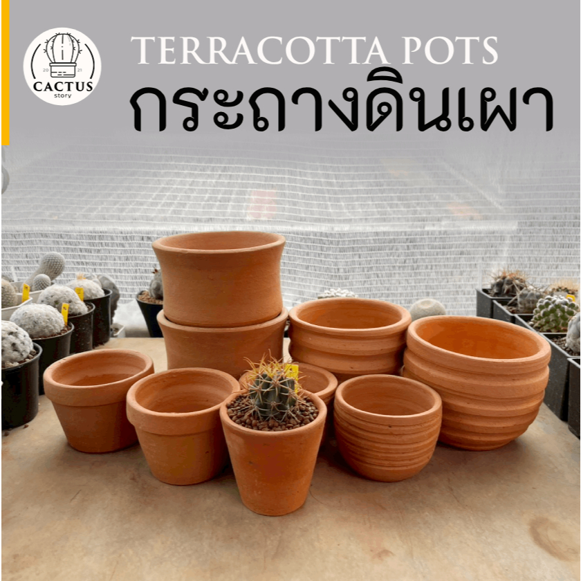 กระถางดินเผาใส่แคคตัส มีหลายขนาด 2.5 - 6 นิ้ว