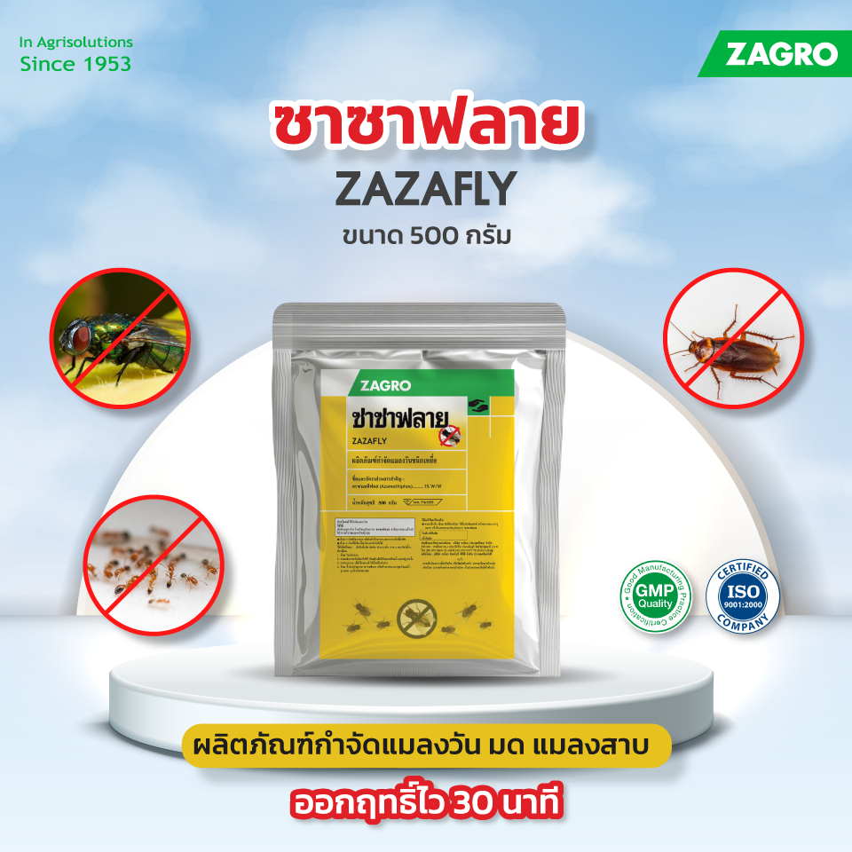 Zazafly ซื้อ 1 แถม 1 ซาซาฟลาย - 500 กรัม ผลิตภัณฑ์ชนิดเหยื่อแบบเกล็ด กำจัดแมลงวัน แมลงสาบ และมด ออกฤทธิ์ไวภายใน 30 นาที