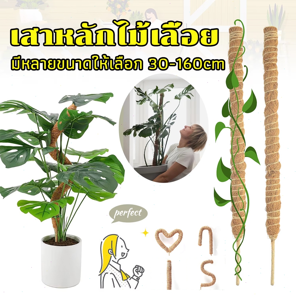 เสาไม้เลื้อย ใยมะพร้าว 30-160cm ดัดงอได้ แข็งแรง ทนทาน ต่อเพิ่มสูงได้ สำหรับต้นไม้