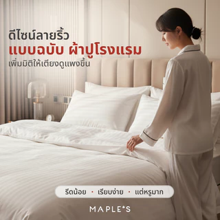 MAPLE'S ผ้าปูรัดมุม รุ่นลายริ้ว 550เส้น กันไรฝุ่น 6-10นิ้ว 3.5ฟุต-6ฟุต ผ้าปูกันฝุ่น striped bedsheet