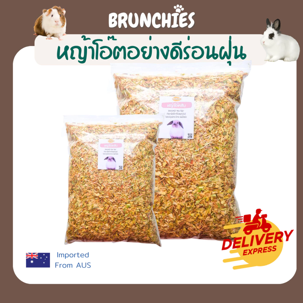 Brunchies หญ้าโอ๊ตอย่างดีร่อนฝุ่น (1kg) สำหรับเด็กกินยาก กระต่าย แกสบี้ ชินชิลล่า