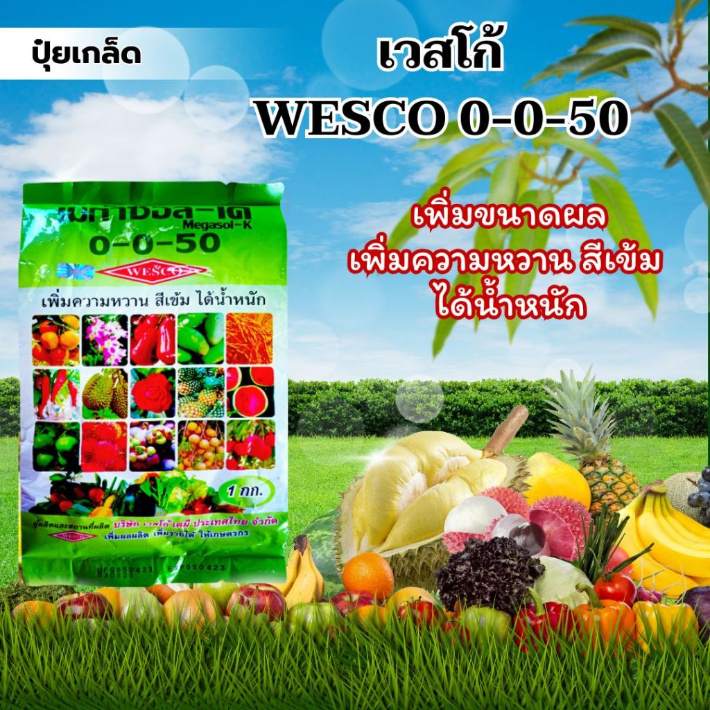 ปุ๋ยเกล็ด เวสโก้ WESCO 0-0-50 (1000G) เพิ่มขนาดผล เพิ่มความหวาน สีเข้ม ได้น้ำหนัก