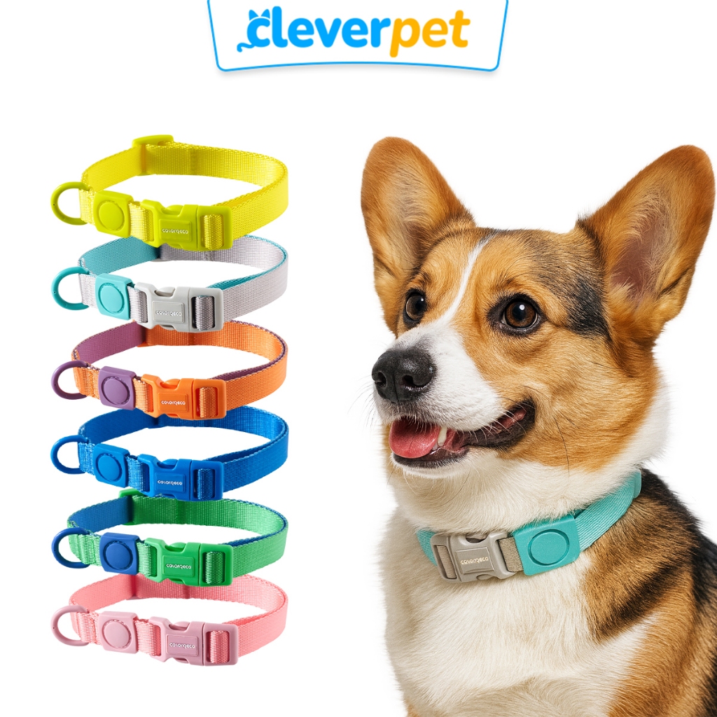 [ส่งฟรี🇹🇭] Cleverpet ปลอกคอสุนัข ปลอกคอสัตว์เลี้ยง ปลอกคอแมว สายจูงสุนัข ColorReco Dog Collar