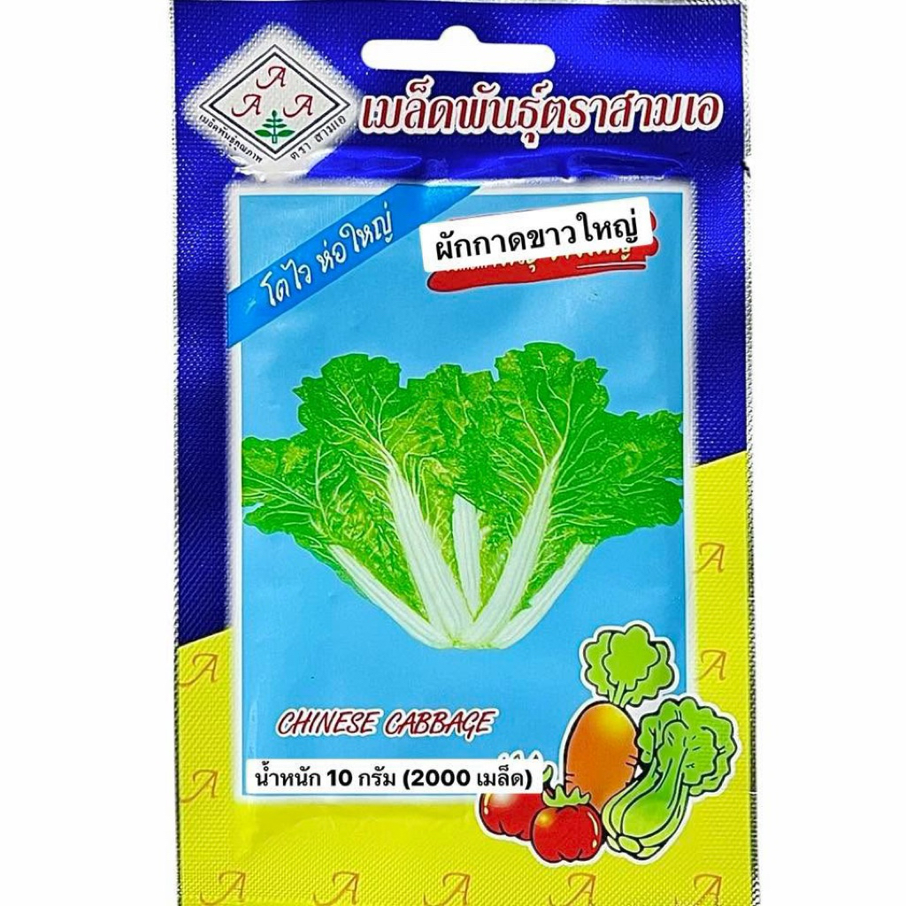 ผักกาดขาว ขาวใหญ่ (ประมาณ 1500 เมล็ด)