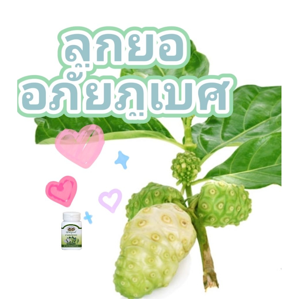 ลูกยอเเท้ ลูกยอบดผงแคปพร้อมทานอภัยภูเบศ