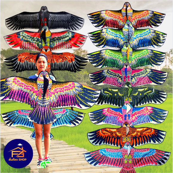 🦅(พร้อมส่ง) ว่าว นกอินทรีย์ ขนาดกลาง 150-160 ซม ว่าวไล่นก ว่าวไล่ศัตรูพืช