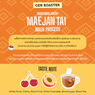 Gen Roaster เมล็ดกาแฟพิเศษ แม่จันใต้ เชียงราย คั่วอ่อน คั่วกลาง Mae Jan Tai Light and Medium Roast หอมดอกไม้ คลีนหวาน