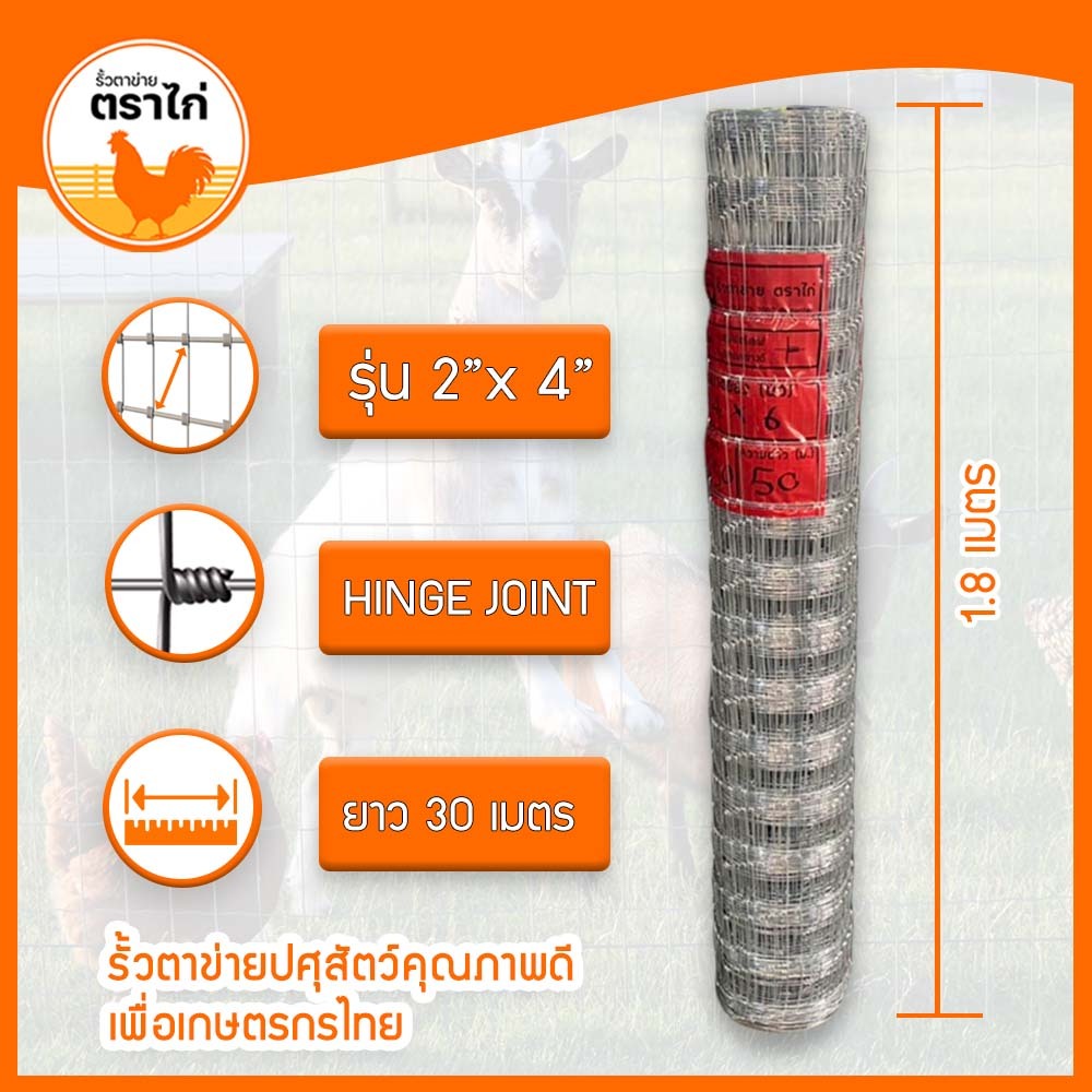 รั้วตาข่ายแรงดึงสูง ช่อง 2×4 นิ้ว ความยาว 30 ม ความสูง 1.00-2.00ม ล้อมพื้นที่ ล้อมรั้ว  แถมลวดมัด 1.8 มม 1กก. ราคา ถูกที่สุด ดีลบีเคเค แกลเลอรีภาพที่ 5