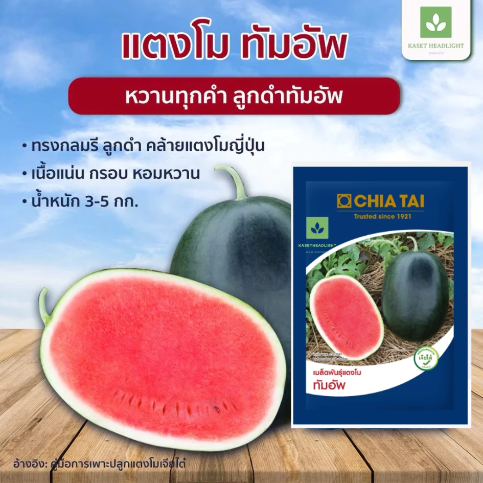 ซองละ 40กรัม แตงโมทัมอัพ แตงโมดำ เมล็ดพันธุ์ แตงโม เจียไต๋ เมล็ดแตงโม ทัมอัพ