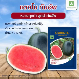 ซองละ 40กรัม แตงโมทัมอัพ แตงโมดำ เมล็ดพันธุ์ แตงโม เจียไต๋ เมล็ดแตงโม ทัมอัพ