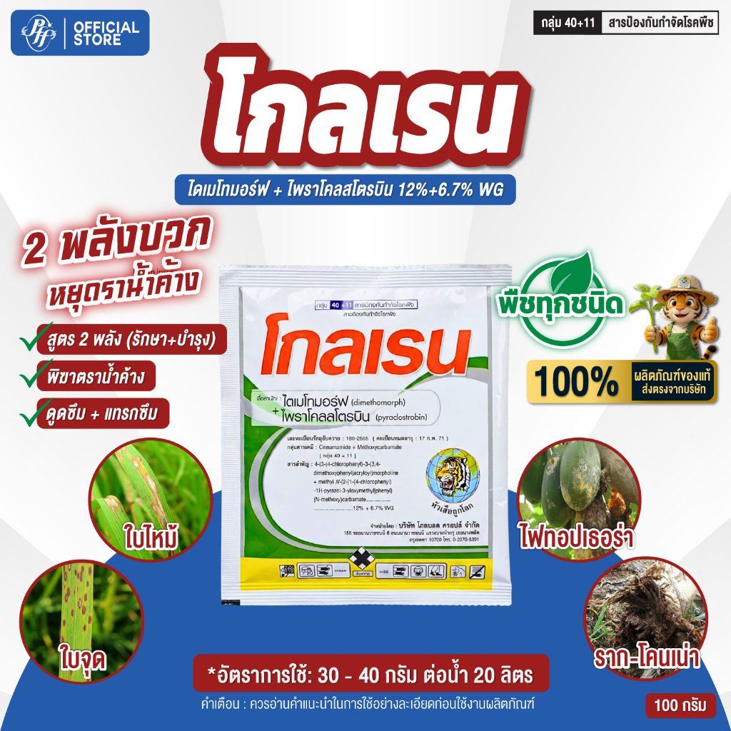 โกลเรน 100 กรัม ไดเมโทมอร์ฟ + ไพราโคลสโตรบิน สองพลังบวก ป้องกันเชื้อรา รากเน่า โคนเน่า ใบจุด ราแป้ง ช่อดำ