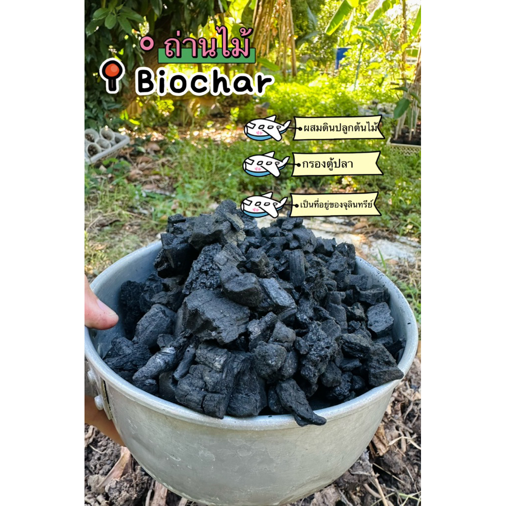 ถ่านไม้ ไบโอชา (Biochar) ผสมดินปลูก ขนาด 500 กรัม และ 1,000 กรัม รองก้นกระถาง กรองตู้ปลา ผสมดินเพิ่มรูพรุน