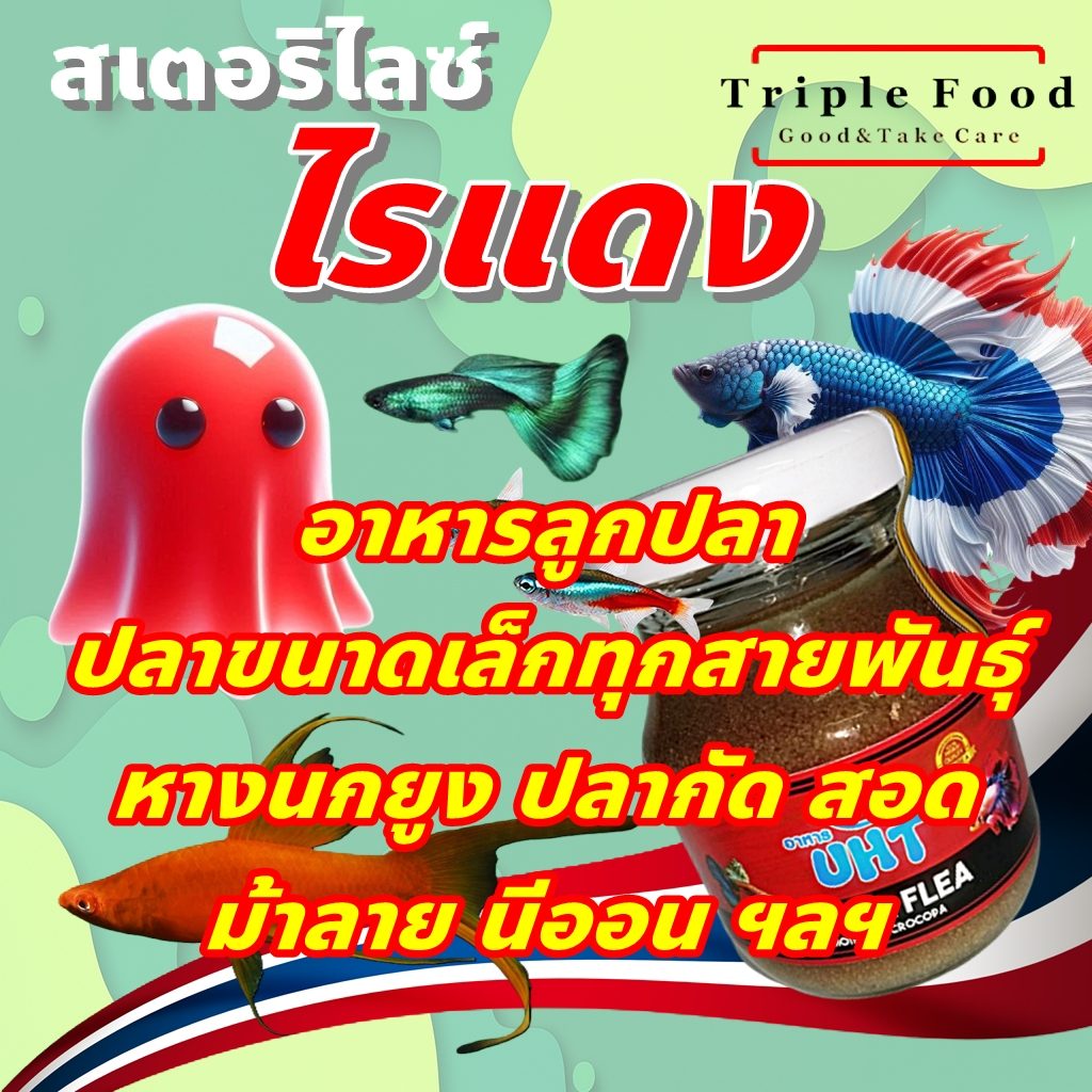 อาหารปลา ไรแดง UHT อาหารลูกปลา ปลากัด ปลาหางนกยูง ปลาสวยงาม ไรแดงสด ไลแดง ยังมี อาร์ทีเมีย ลูกน้ำ ไร